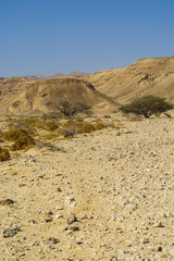 Stone desert in Israel.