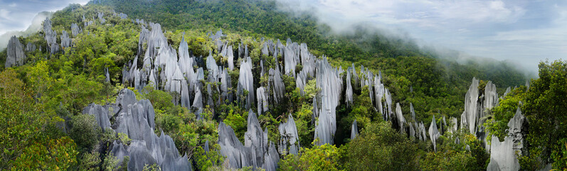 Pinnacles in Mulu national parc in Malaysia - obrazy, fototapety, plakaty
