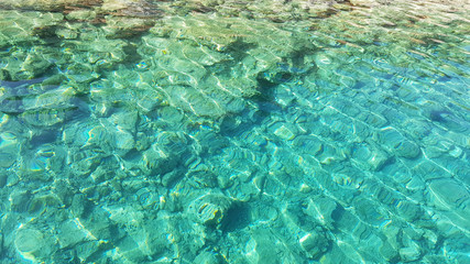 Clear sea water near the stone coast