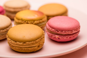Obraz premium Macaroon in pink plate