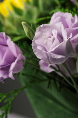 Purple smooth roses flowers close up in a bouquet