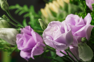 Purple smooth roses flowers close up in a bouquet