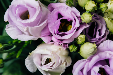 Purple rose flowers bouquet close up