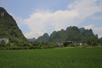 Obraz premium Chinese Countryside in Yangshuo
