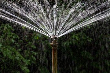 Gartenbewässerung mit Sprinkleranlage