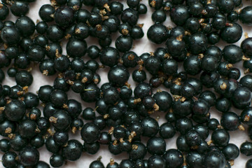 Background of black currant berries.