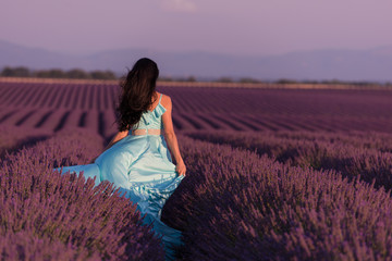 woman in lavender flower field