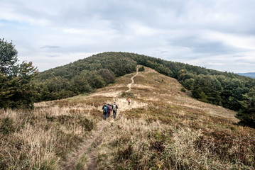 autumn Bieszczady mountains bellow Okraglik hill in Poland with mountain meadow and hill covered by forest © honza28683