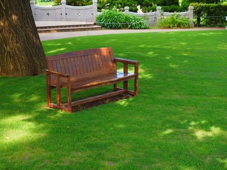 bench in the shade of tree