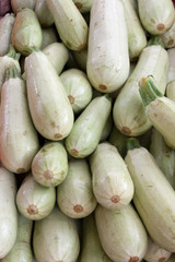Lots of summer squash as backround