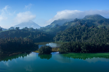 Colorful lake surrounded by forest