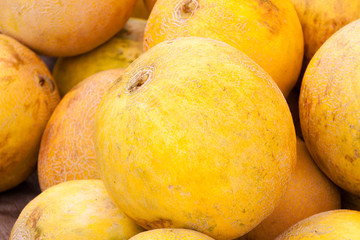 Fresh melons for sale