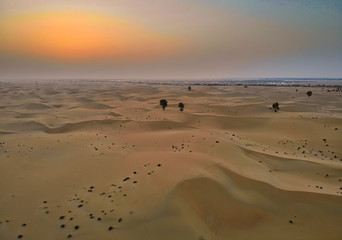 Dubai desert