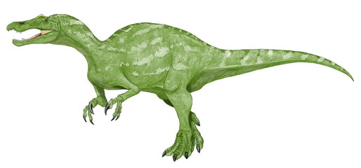 バリオニクス・ウォーケリ。バリオニクス(重々しい爪）、白亜紀前期の獣脚類。スピノサウルス類の特徴的な細長い口吻を持つ。歯は細く鋭い。魚食性の捕食者。イギリスで発見された。昔から緑色で描かれることが多い。3度ほど描いたがこの作品はいちばん最近のもの。オリジナルイラスト画像。