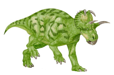 アルバータケラトプス。角竜類。ケラトプス科の恐竜としては近年の作品。カナダの専門家のアドバイスを受け角の長さ等にも反映させた。今後この恐竜を描くつもりはない。イラスト画像完成2007年。体色は自由に設定した。