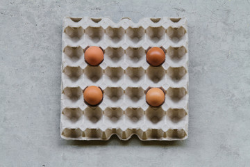 Egg pan And egg containers Made of pressed paper.