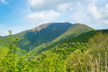 Obraz premium 滋賀県・岐阜県の伊吹山