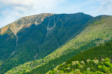滋賀県・岐阜県の伊吹山