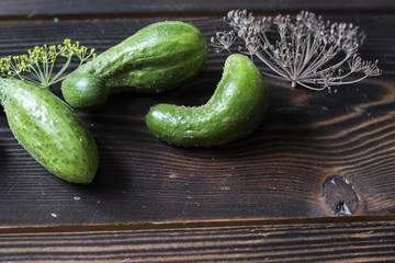 Fresh green cucumber with flowering dill on a wooden background