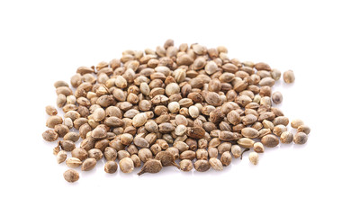 Heap of hemp seeds on white background