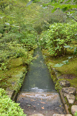 Fototapeta premium outdoor water feature