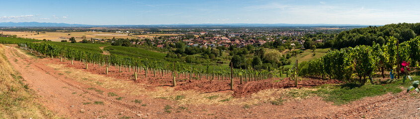 Fototapeta na wymiar Uffholtz vu depuis son vignoble Mamberg, Alsace, France