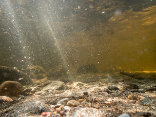 Sunbeams lighting gravel on lake bottom