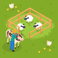 Obraz na płótnie Canvas Cattle Farming Isometric Composition