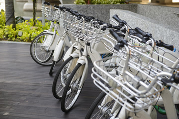 Many parked rental bicycles outdoors