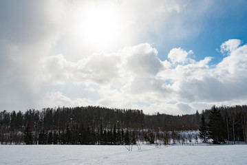 北海道の雪景色