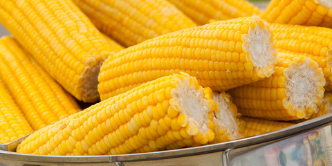 several pieces of boiled corn lie in a saucepan cooked for treat at a fair or in a cafe