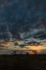 Gewitterwolken über der Serengeti