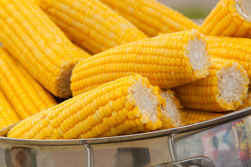 several pieces of boiled corn lie in a saucepan cooked for treat at a fair or in a cafe