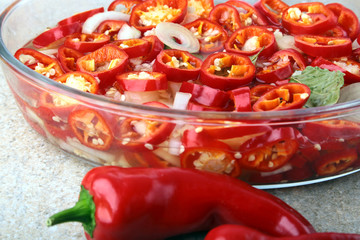 Slices Red hot chilli pepper, garlic, onion, salt and vinegar Fresh organic vegetables for salad.