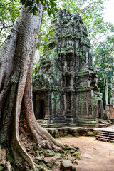 Fototapeta na wymiar Angkor