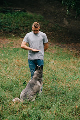 man and husky dog training stand command with hand gesture