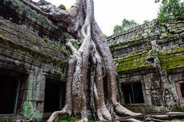 angkor