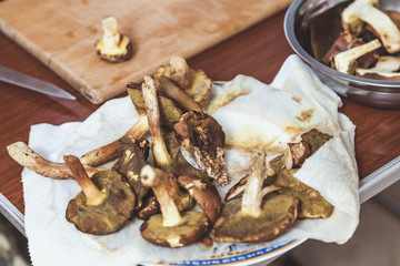 Hands cut raw mushrooms with sharp knife
