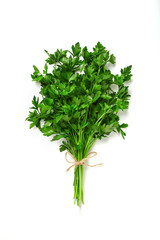 A bunch of parsley isolated on white background. Green fresh, ecological parsley bound by a  eco rope.