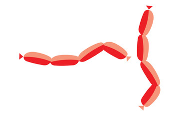 Sausages food isolated vector illustration