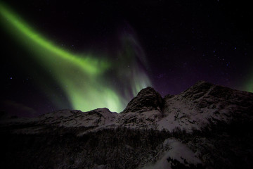 Fototapeta na wymiar Polarlicht übe Nordnorwegen