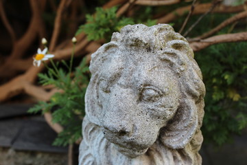 Obraz premium Vico Equense - Campania - Italy