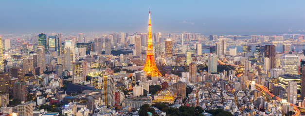 Panorama view of Tokyo Skyline at twilight Japan
