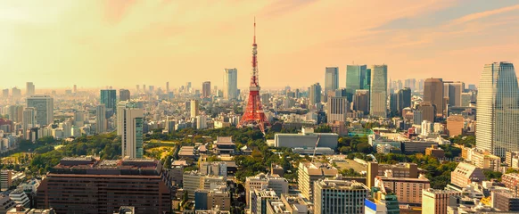 Foto op Plexiglas Panorama view of Tokyo skyline at sunset , Japan © basiczto