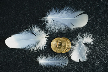 Bitcoin 金貨 仮想通貨 ゴールド 羽根