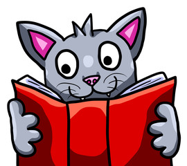 Adorable Cat Studying