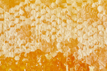 full frame of beeswax with honey as background - obrazy, fototapety, plakaty