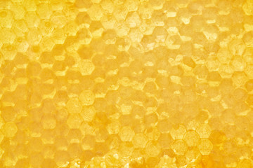 full frame of beeswax with honey as background