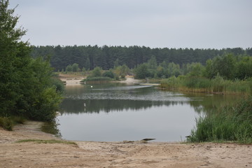 lake with dunes and forest