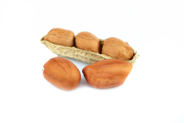 Dried peanuts on the white background